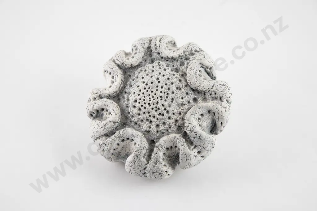 Len Castle Fossil Form Image 1++