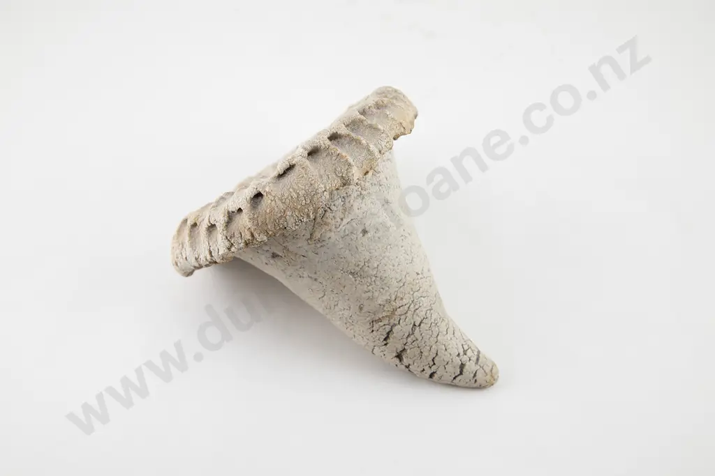 Len Castle Fossil Form Image 1++