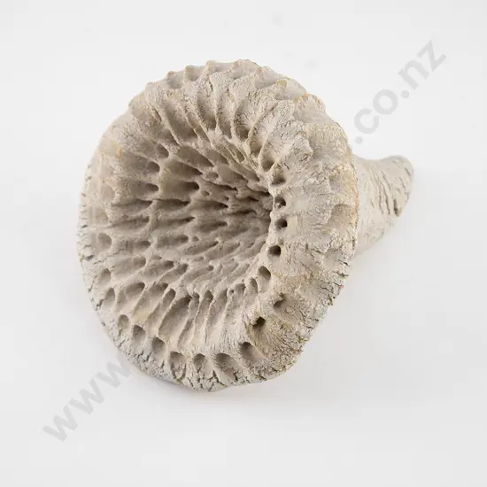 Len Castle Fossil Form