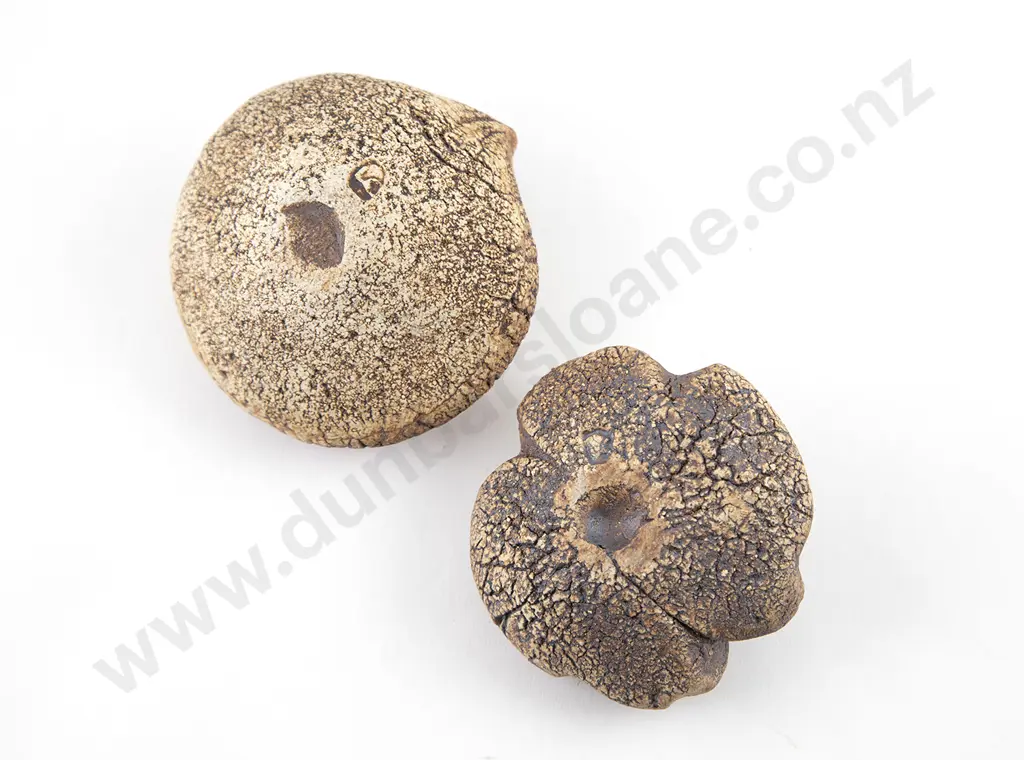 Len Castle Salt Cellar & Fossil Form (2) Image 1++