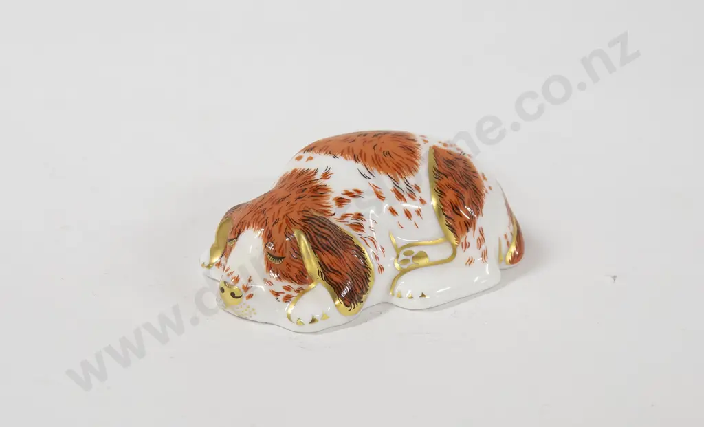 RCD Puppy Ornament Image 1++