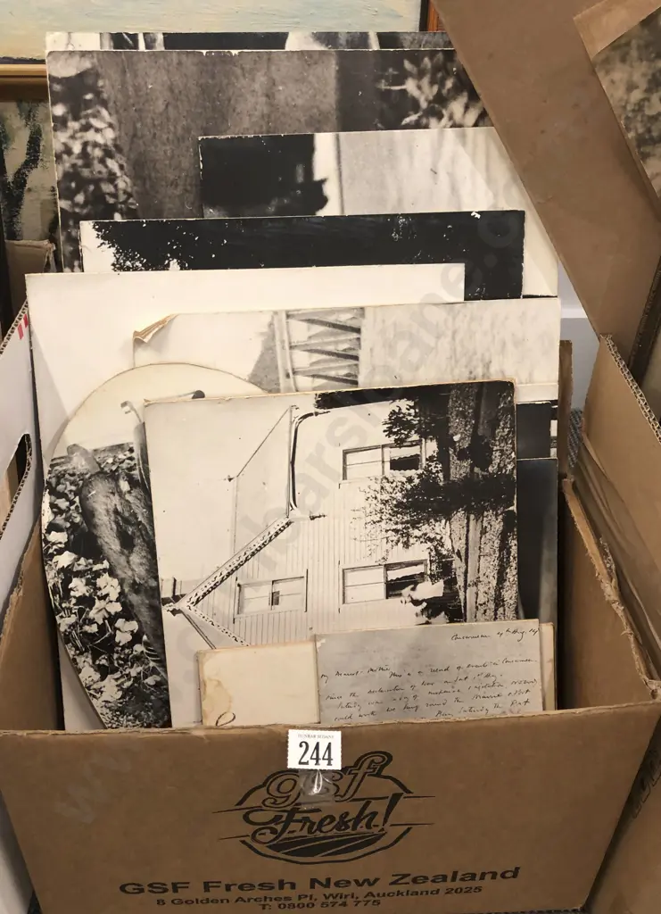 Box Of Frances Hodgkins' Related Photographic Images Image 1++