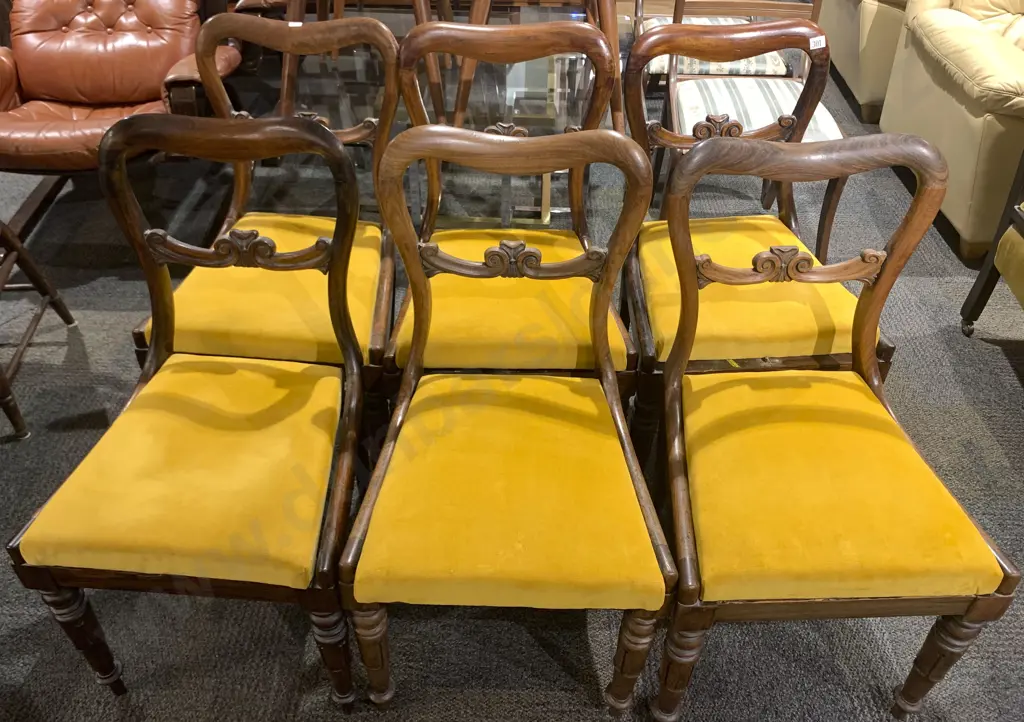 Set Six WmIV Rosewood Dining Chairs Image 1++