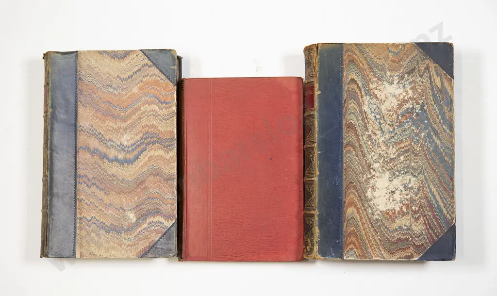 Three 19th Century Dickens volumes Image 1++