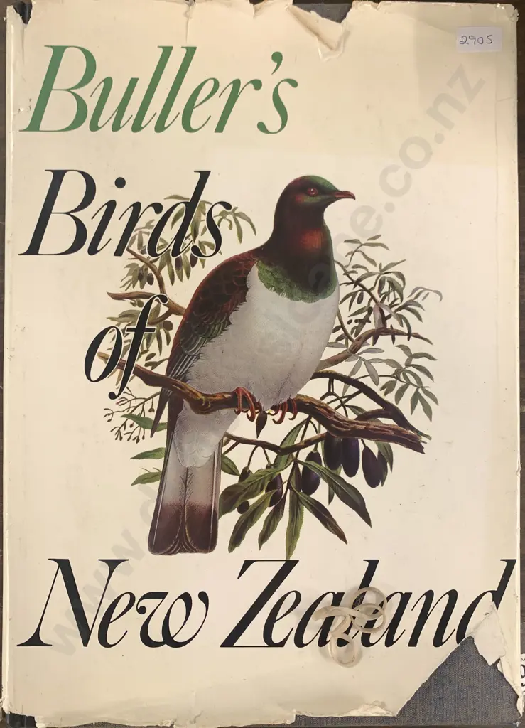 Bullers Birds Of New Zealand Book Image 1++