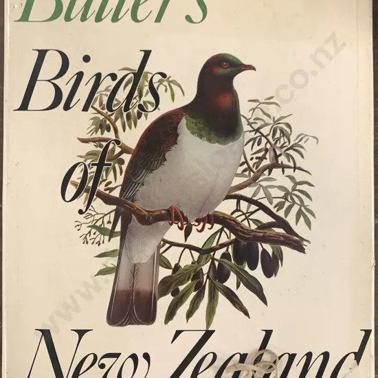 Bullers Birds Of New Zealand Book