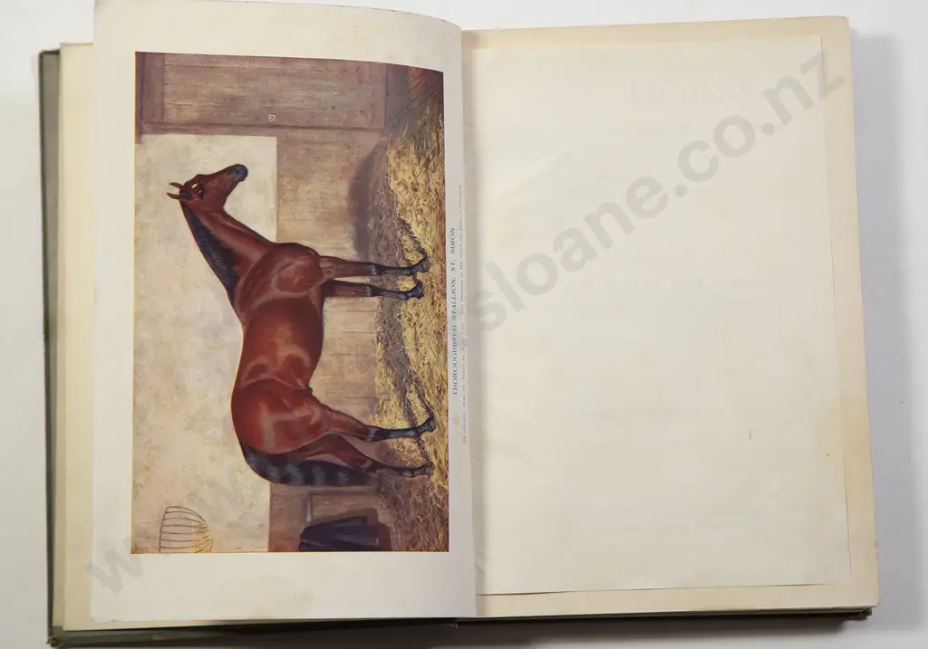 Axe, Prof. J Wortley, The Horse (9 volumes) Image 1++
