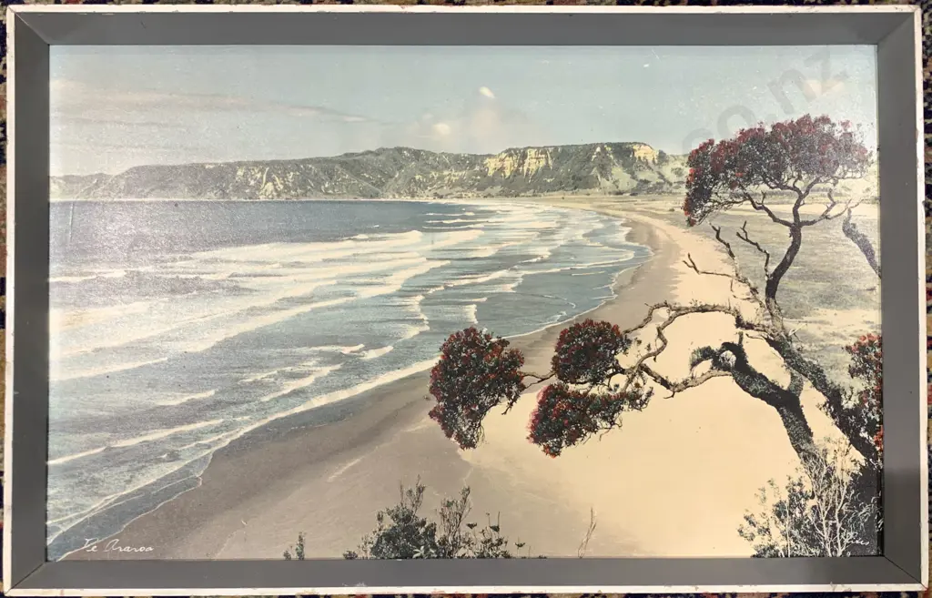 Small Whites Aviation Te Araroa Hand Colored Photograph Image 1++