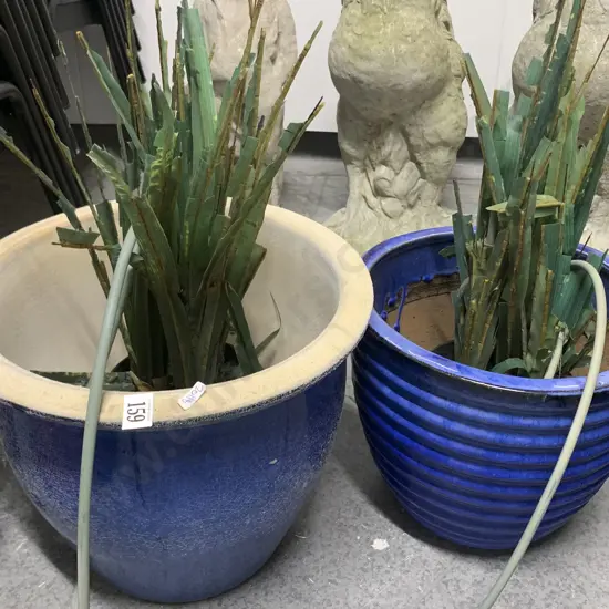Two Garden Planters