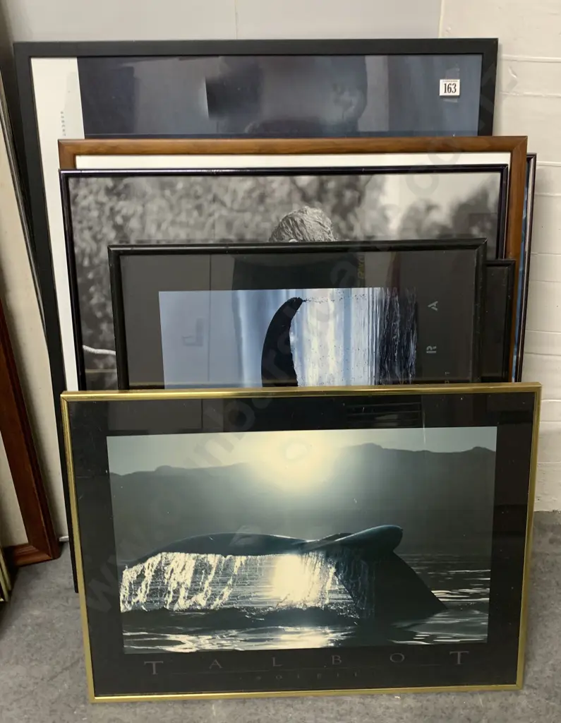 Stack of Eleven Various Prints Image 1++