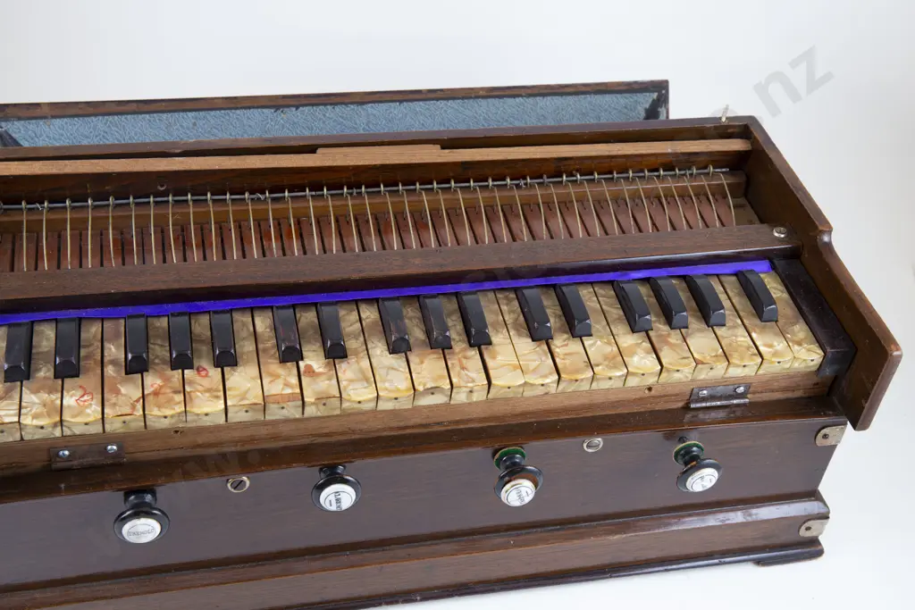 Vintage Piano Accordion Image 1++