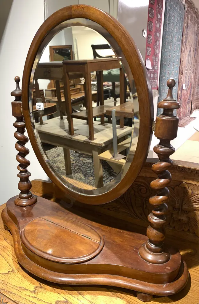 Toilet Swing Mirror With Barley Twist Supports Image 1++