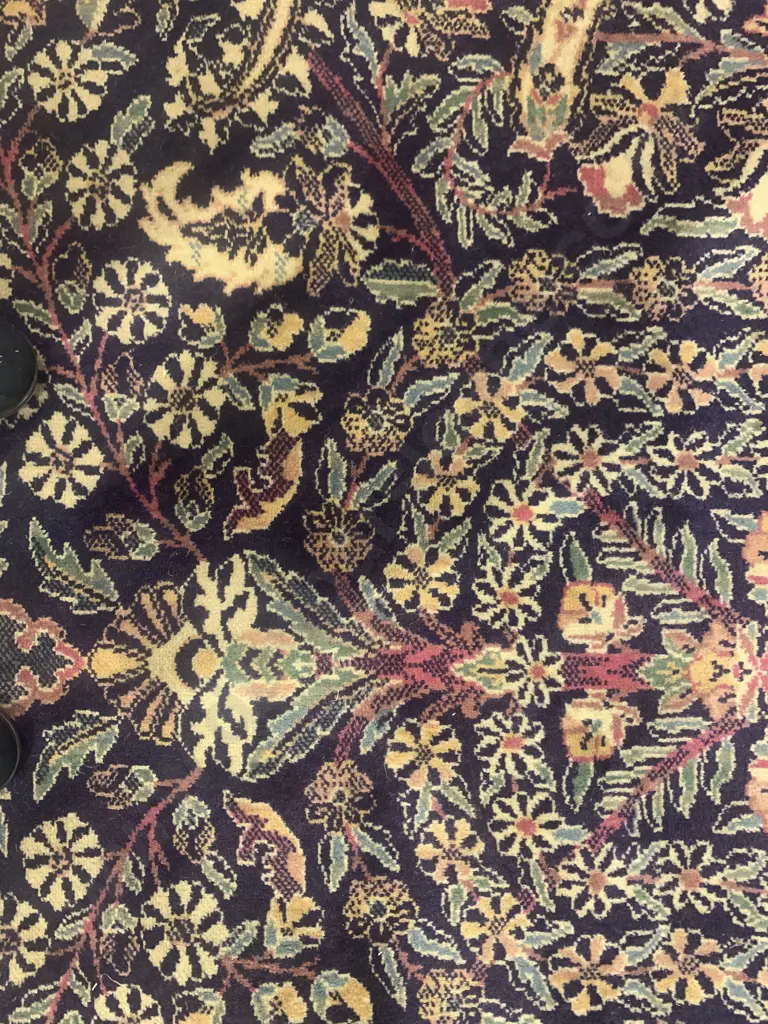 Large Persian Style Floor Rug Image 1++