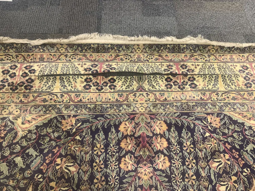 Large Persian Style Floor Rug Image 1++