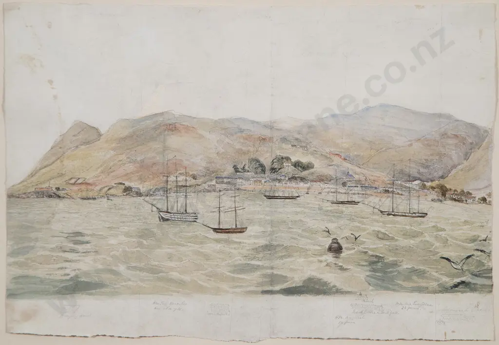 C19th British - St Helena Image 1++
