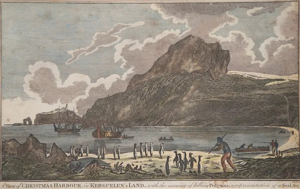 Two C18th Hand Coloured Engravings Image 1++