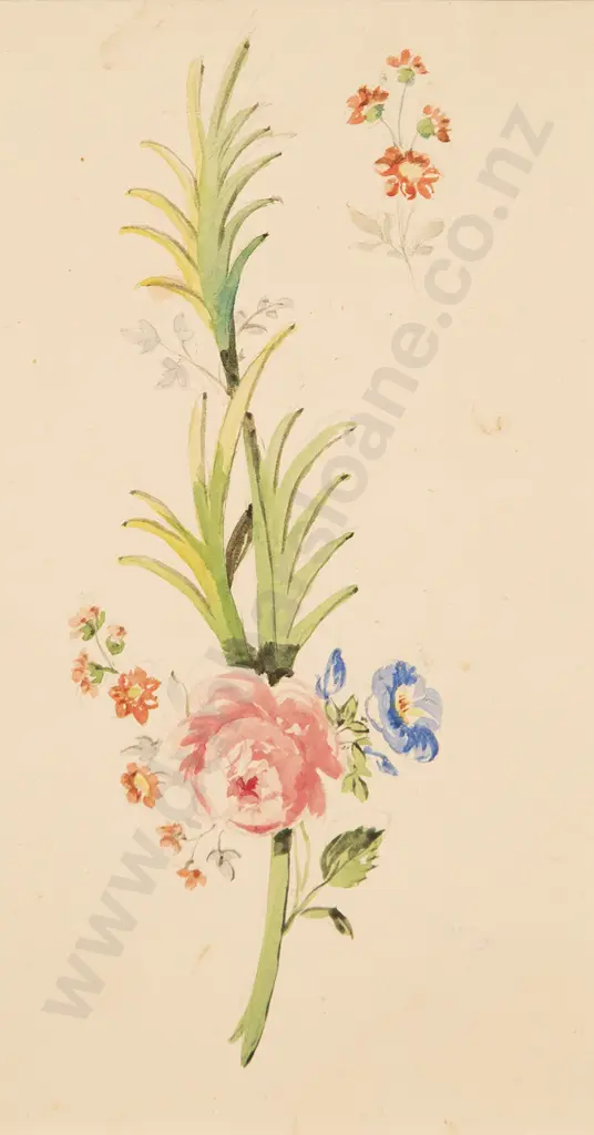 Two Small Botanical Watercolours and Six Prints of Roses Image 1++