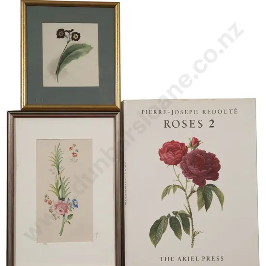 Two Small Botanical Watercolours and Six Prints of Roses