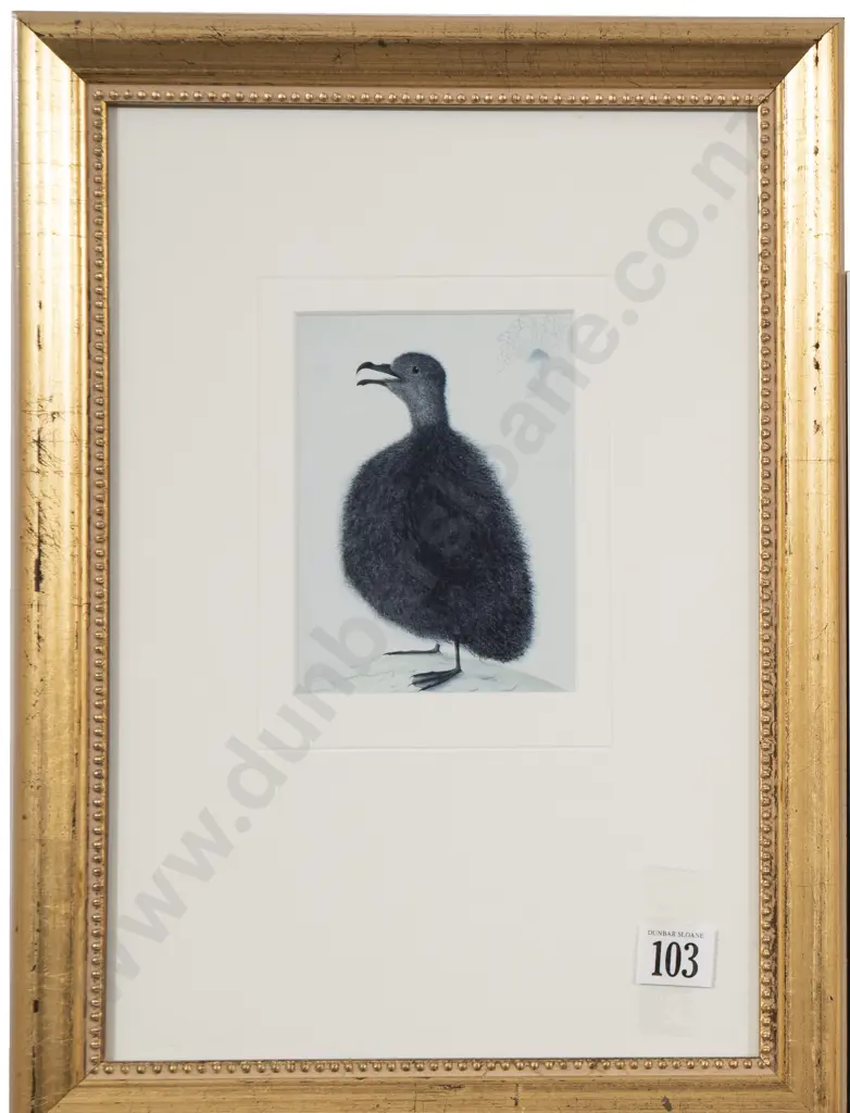A Small Group of Minor Prints and Framed NZ Silk Cigarette Cards Image 1++
