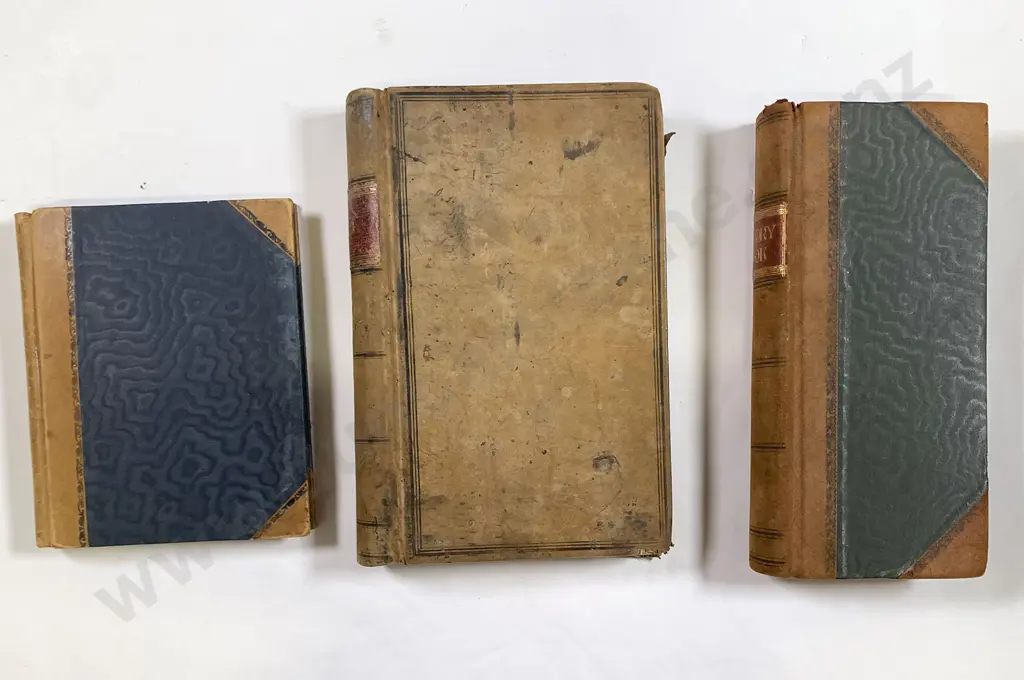 Three Vintage Chamoix Bound Ledgers Image 1++