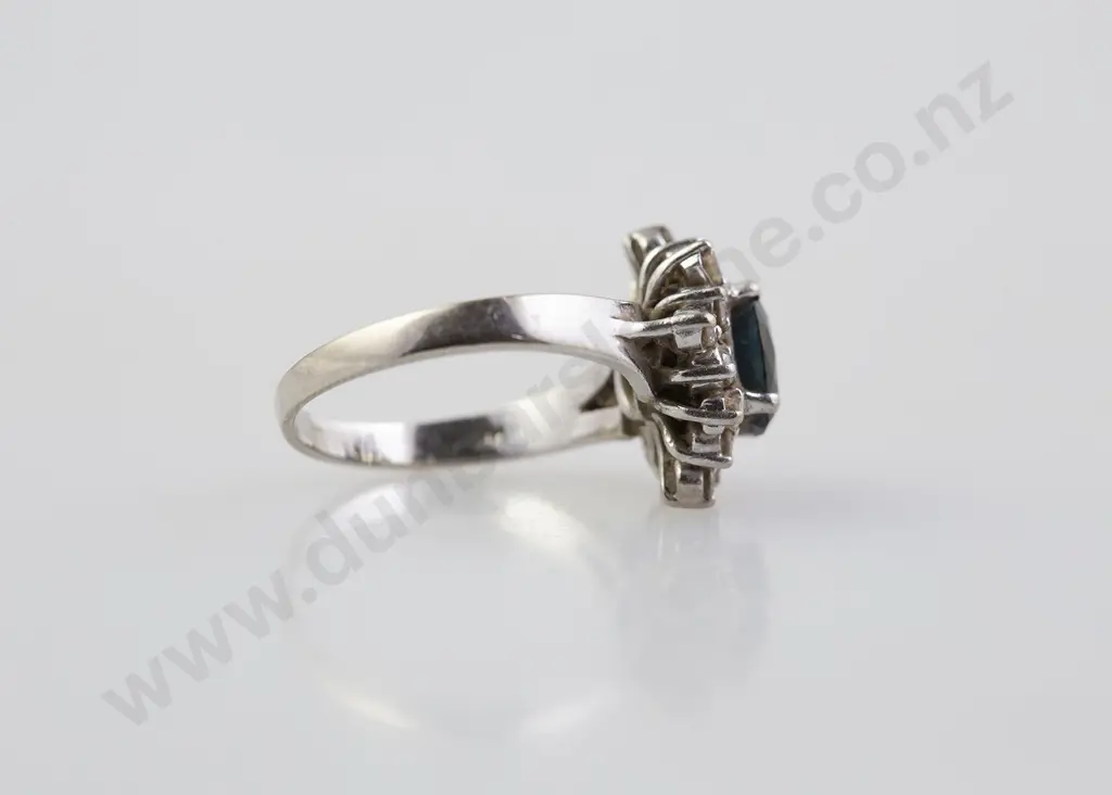 9ct White Gold 20stone Sapphire and Diamond Cluster Ring Image 1++