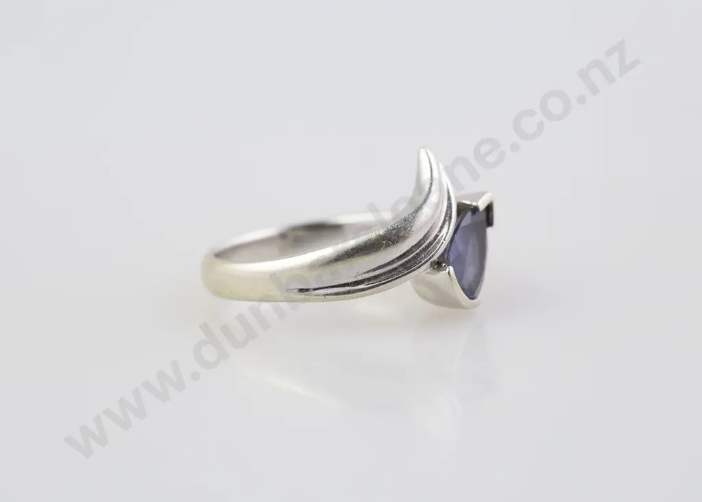 9ct White Gold Single Sapphire and Diamond Ring Image 1++