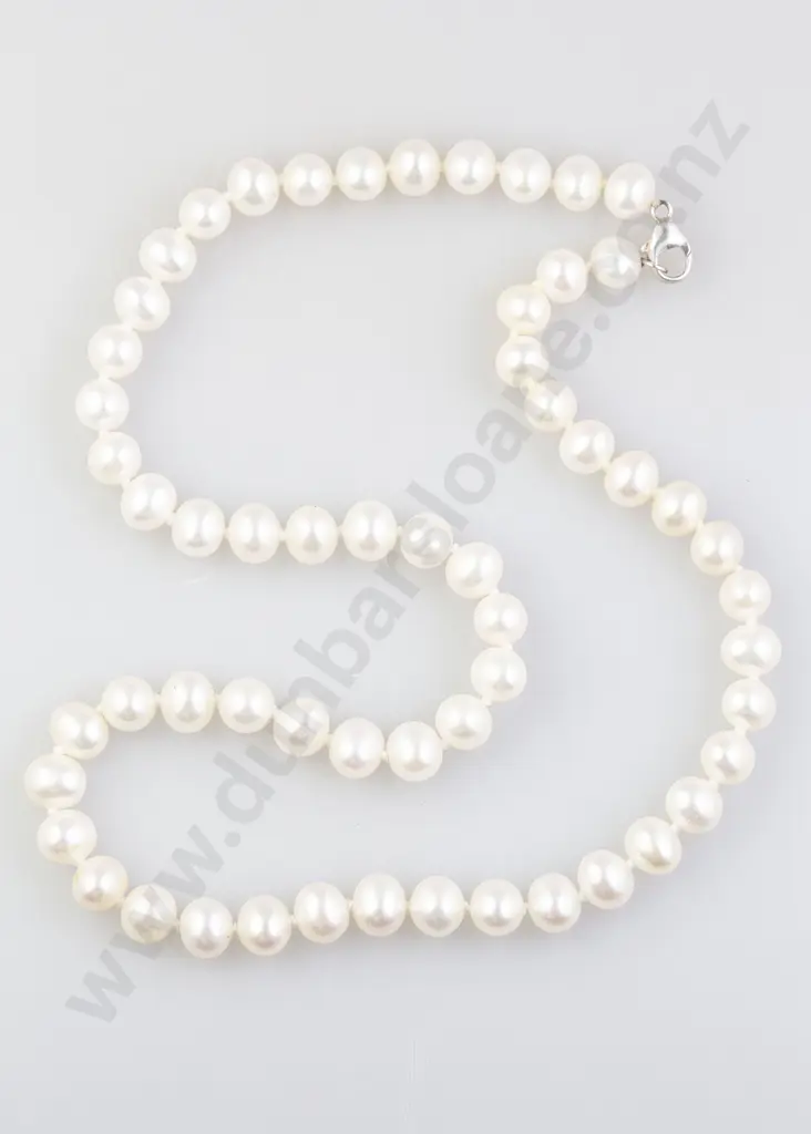 Single Strand Uniform Fresh Water Pearl Necklace Image 1++