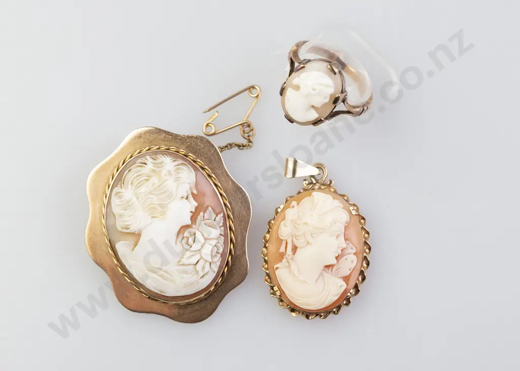9ct Framed Cameo Brooch Image 1++