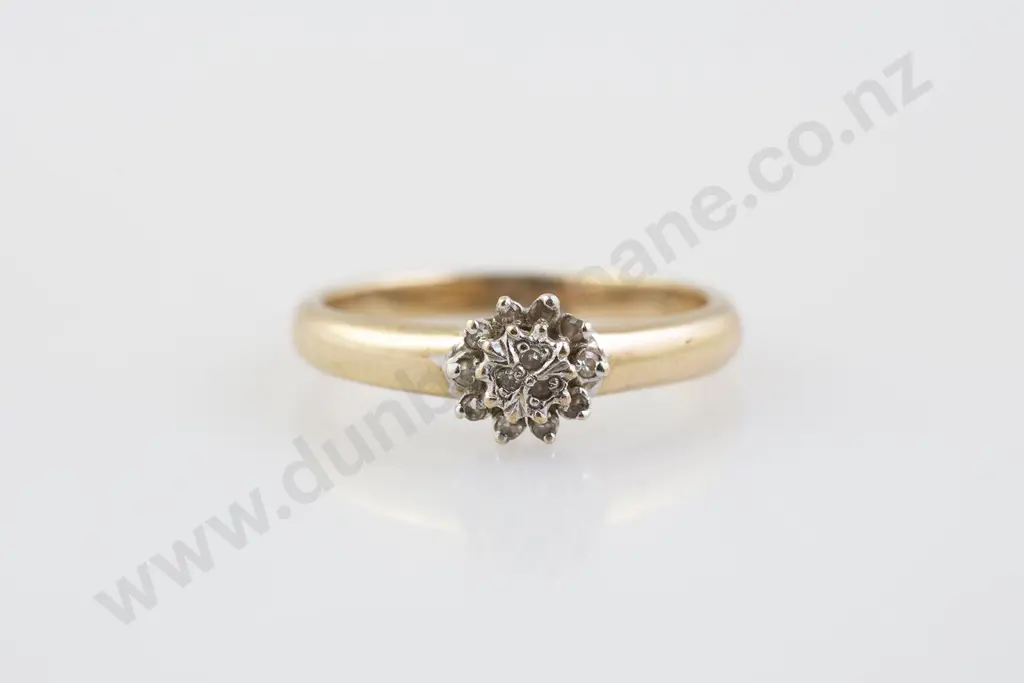 9ct 13stone Diamond Cluster Ring Image 1++
