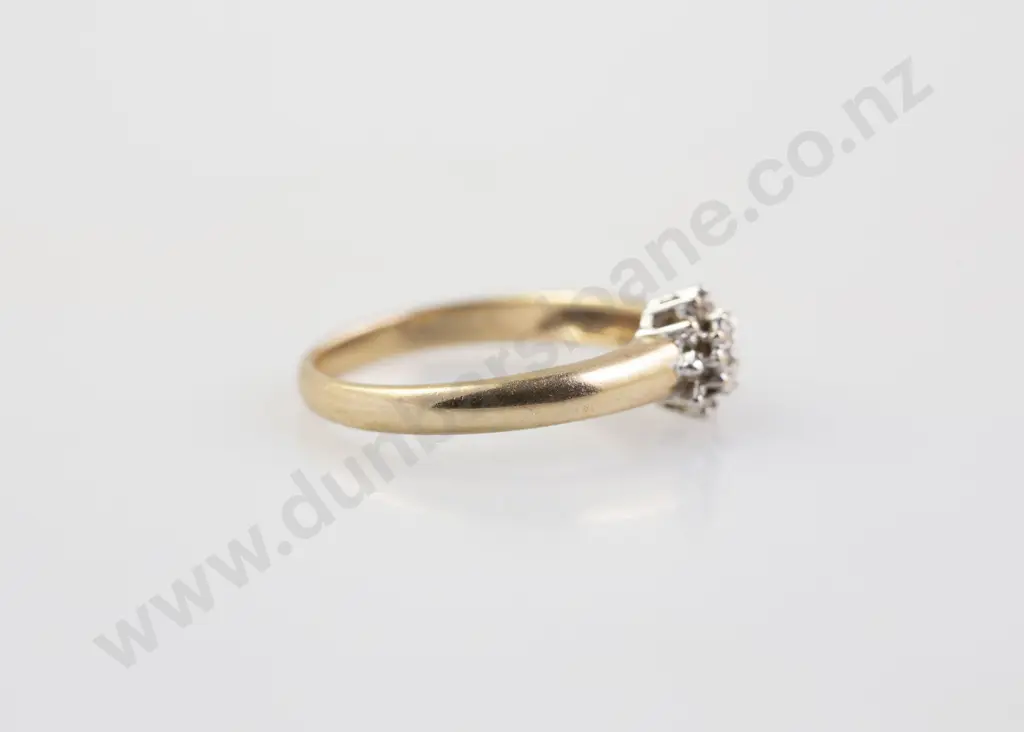 9ct 13stone Diamond Cluster Ring Image 1++