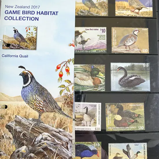 NZ Stock Book Album