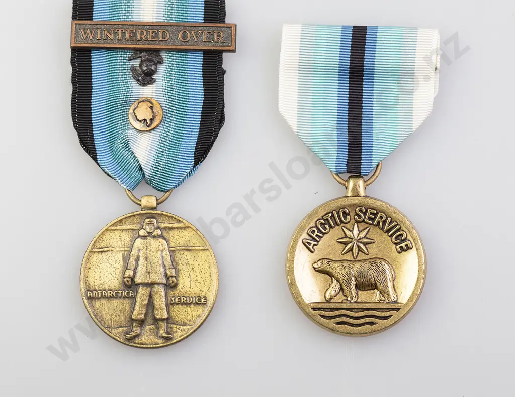 Two US Forces Service Medals Image 1++