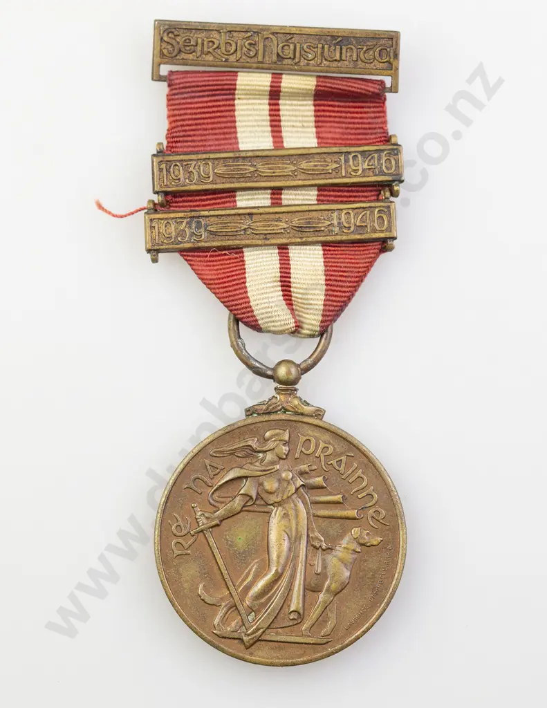 Ireland Service Medal Image 1++