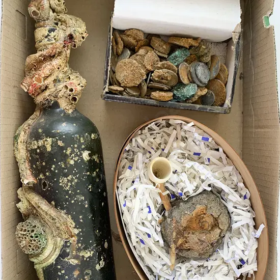 Ship Wreck Finds