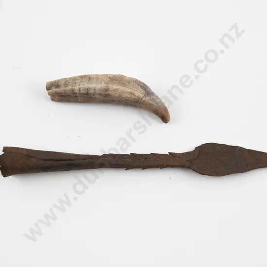 Steel arrow head and a seal tooth