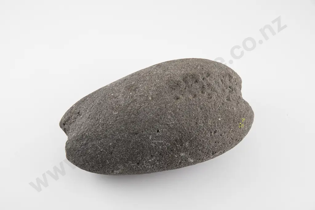 Large Net Sinker Image 1++