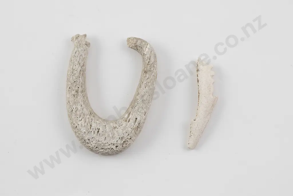Two fish hooks Image 1++