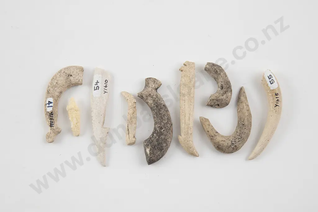 Ten bone fish hook sections Image 1++