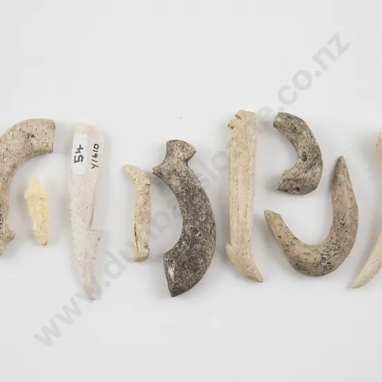 Ten bone fish hook sections