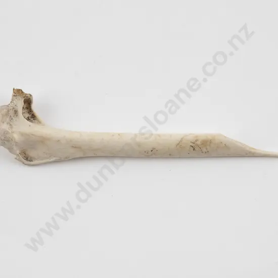 Bone Awl