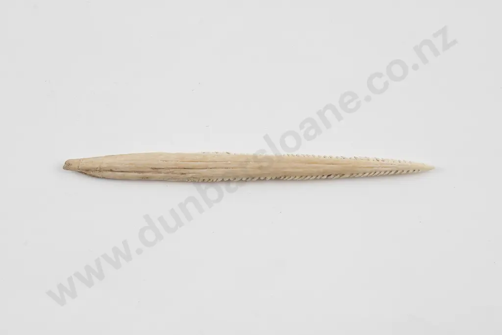 Stingray barb bird spear tip Image 1++