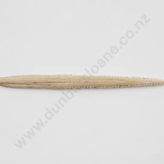 Stingray barb bird spear tip