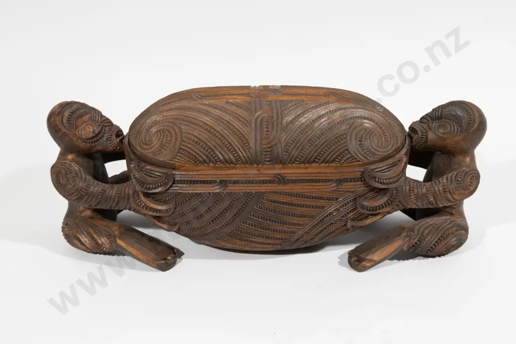 Large Waka Huia Image 1++