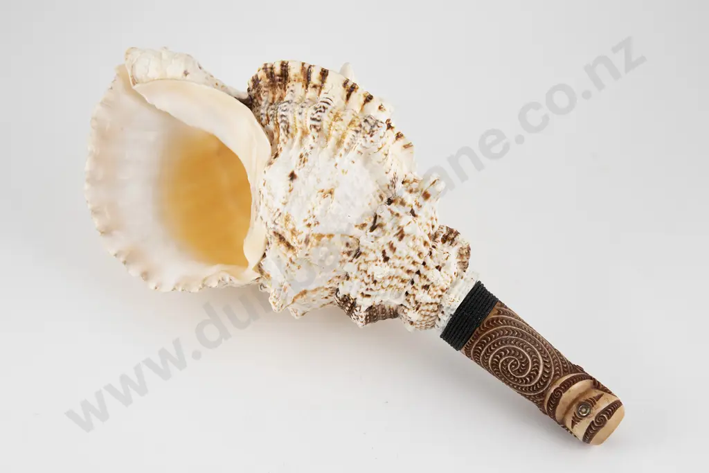 Putatara ( Conch Shell Trumpet) Image 1++