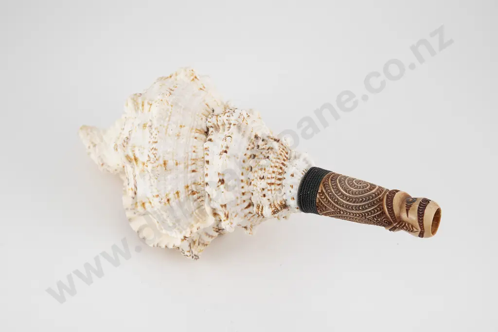 Putatara ( Conch Shell Trumpet) Image 1++
