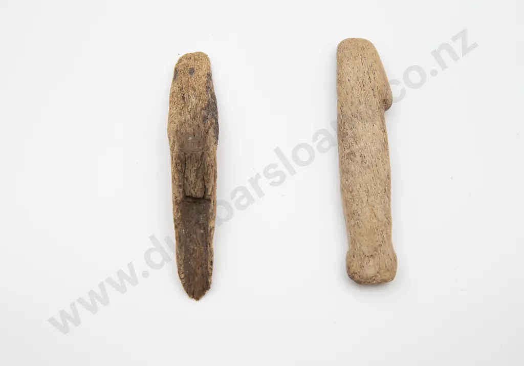 Harpoon tip and worked piece of bone Image 1++