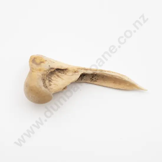 Bone Awl