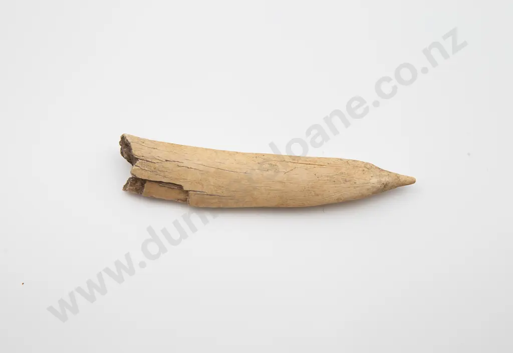 Bone Awl Image 1++