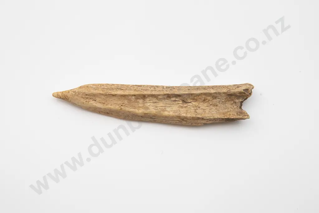 Bone Awl Image 1++