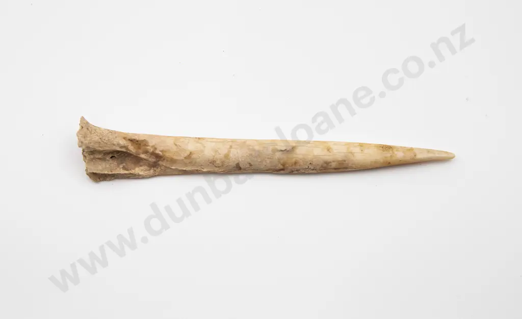 Bone Awl Image 1++